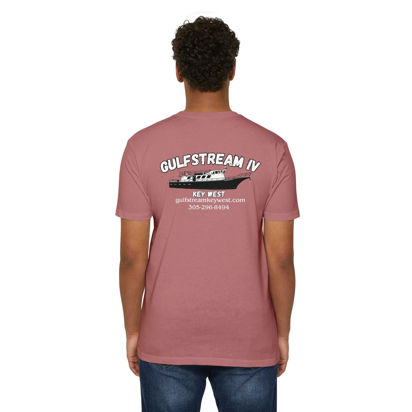 Gulfstream IV T-Shirt